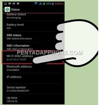 Sadap WA dengan Cara Spoofing