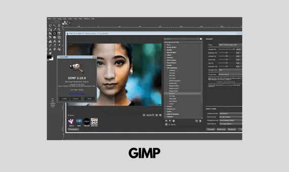 GIMP