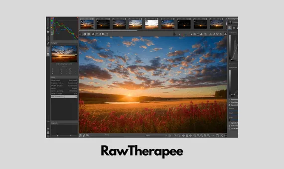 RawTherapee